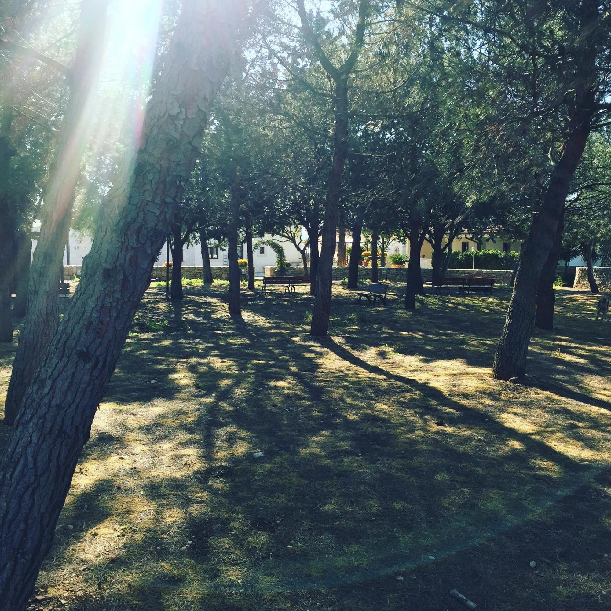 Masseria Gravelle Turi Εξωτερικό φωτογραφία