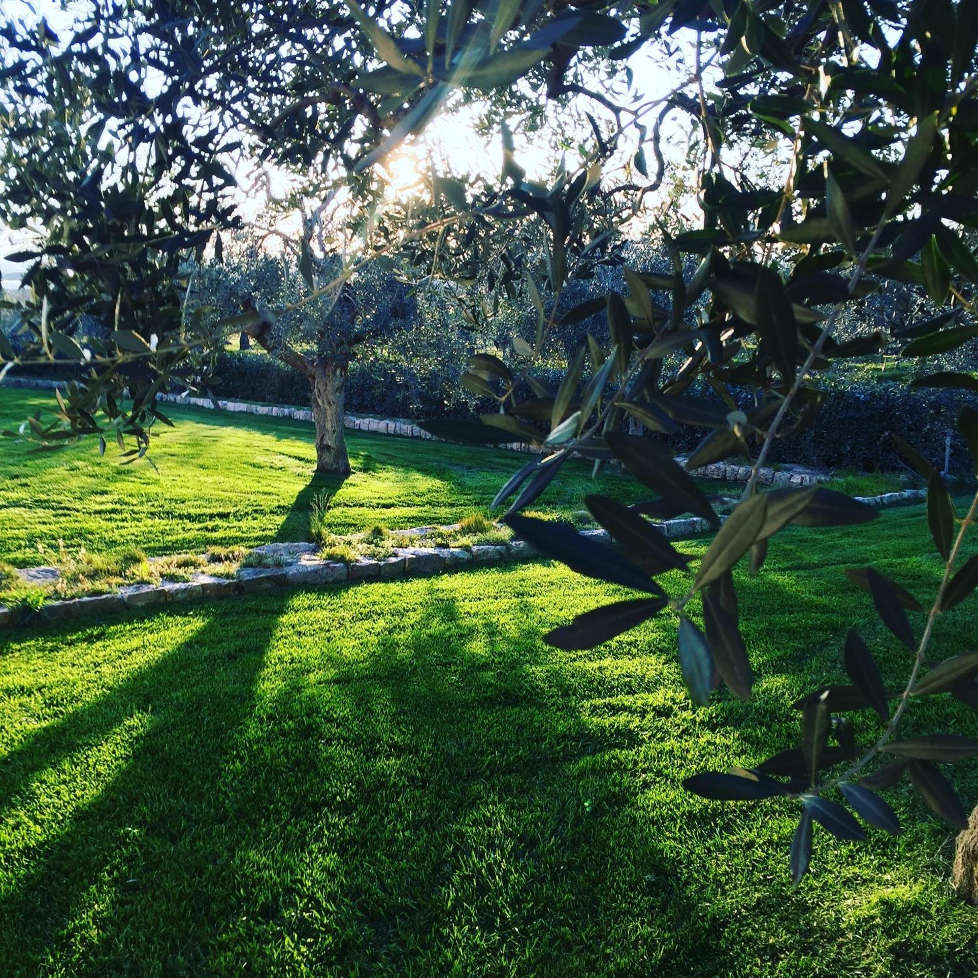 Masseria Gravelle Turi Εξωτερικό φωτογραφία